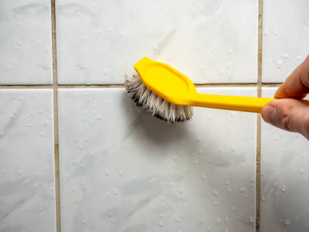Best Commercial Mold Removal  in Flora, IN