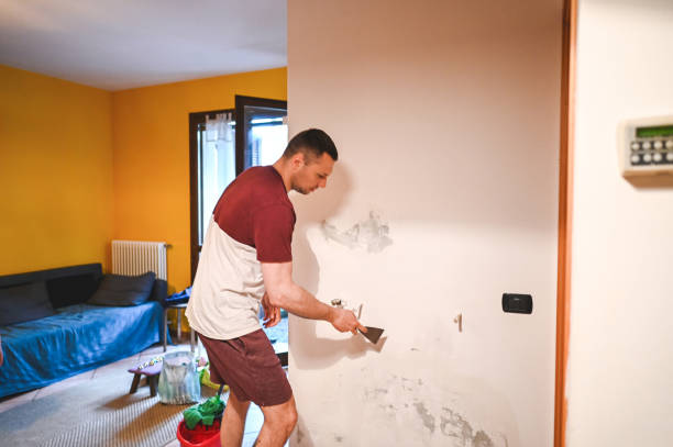 Best Mold Damage Repair  in Flora, IN